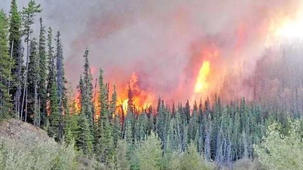 image for Quebec man who blamed wildfires on government pleads guilty to setting 14 fires