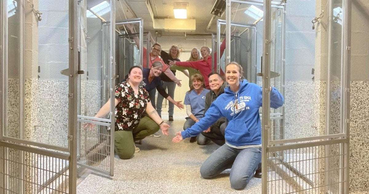 image for For First Time in Nearly 50 years, Pennsylvania Animal Shelter Is Empty