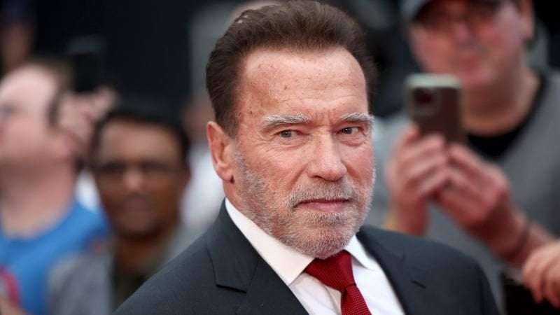 image for Arnold Schwarzenegger’s undeclared watch fetches $294K at climate auction
