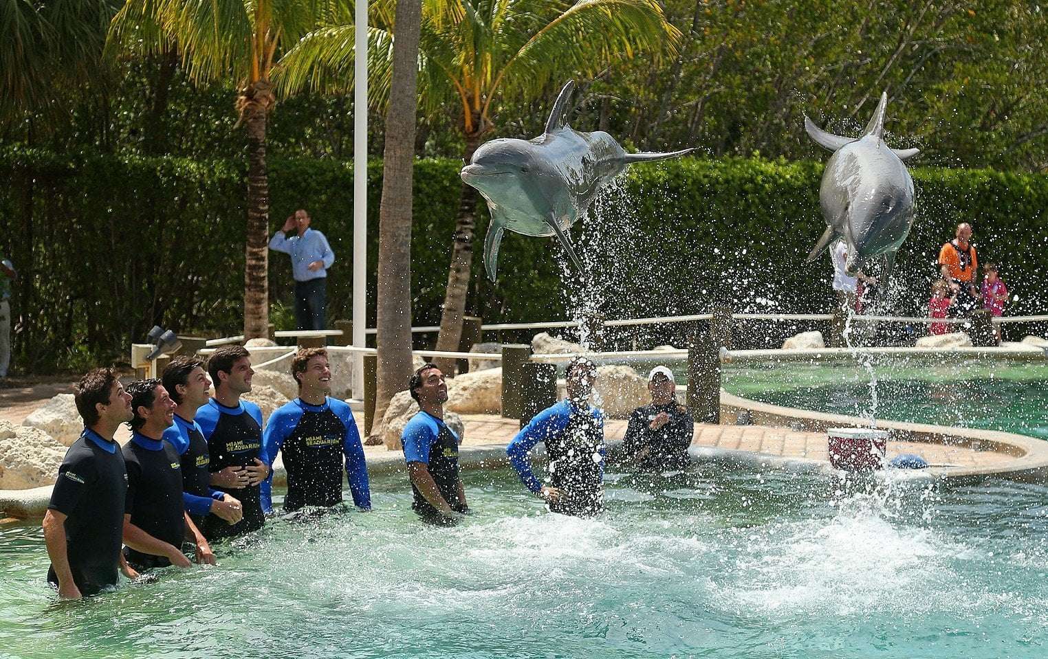 image for Fed Up: Miami-Dade Mayor Moves to Axe Seaquarium's Lease