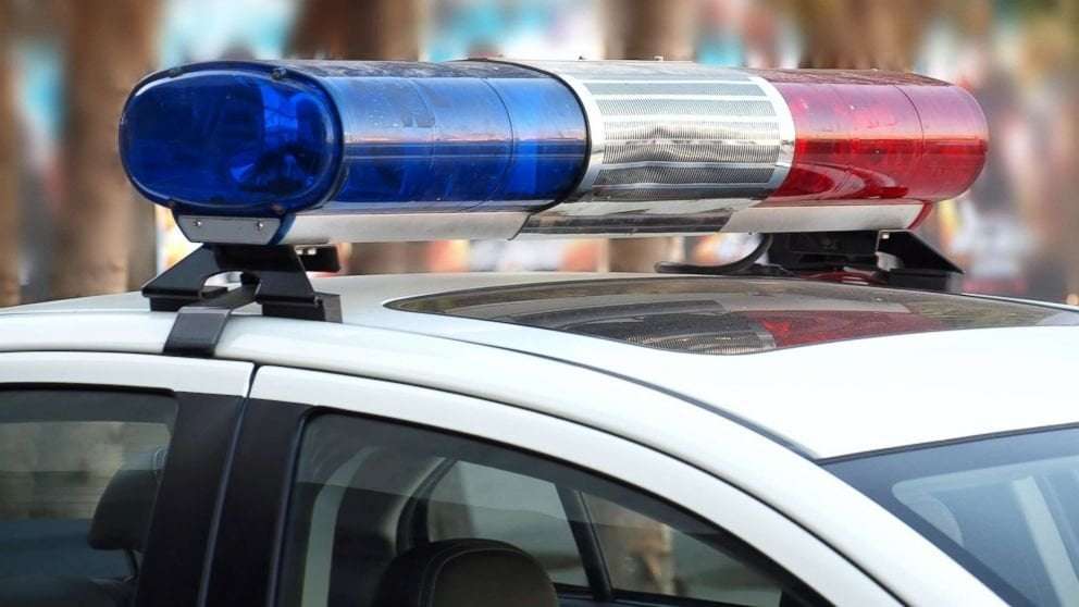 image for Amish horse and buggy stolen from Walmart parking lot while family shopped