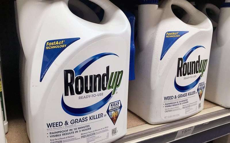 image for Bayer ordered to pay $2.25 billion after jury links herbicide Roundup to cancer