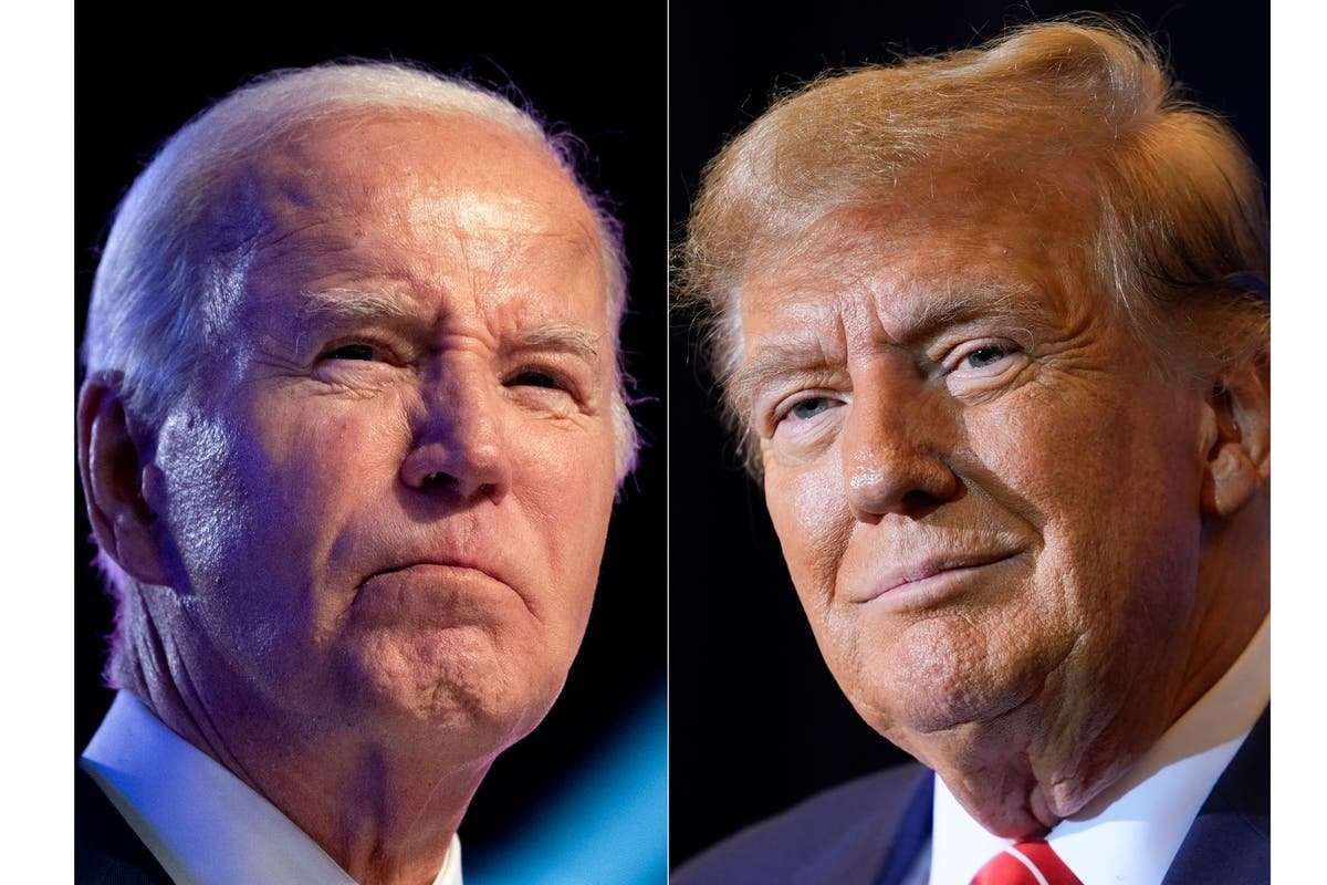 image for Trump loses to Biden by six points in new poll