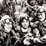 image for Japanese kamikaze pilots pose with a puppy before their final suicide mission in Okinawa, 1945