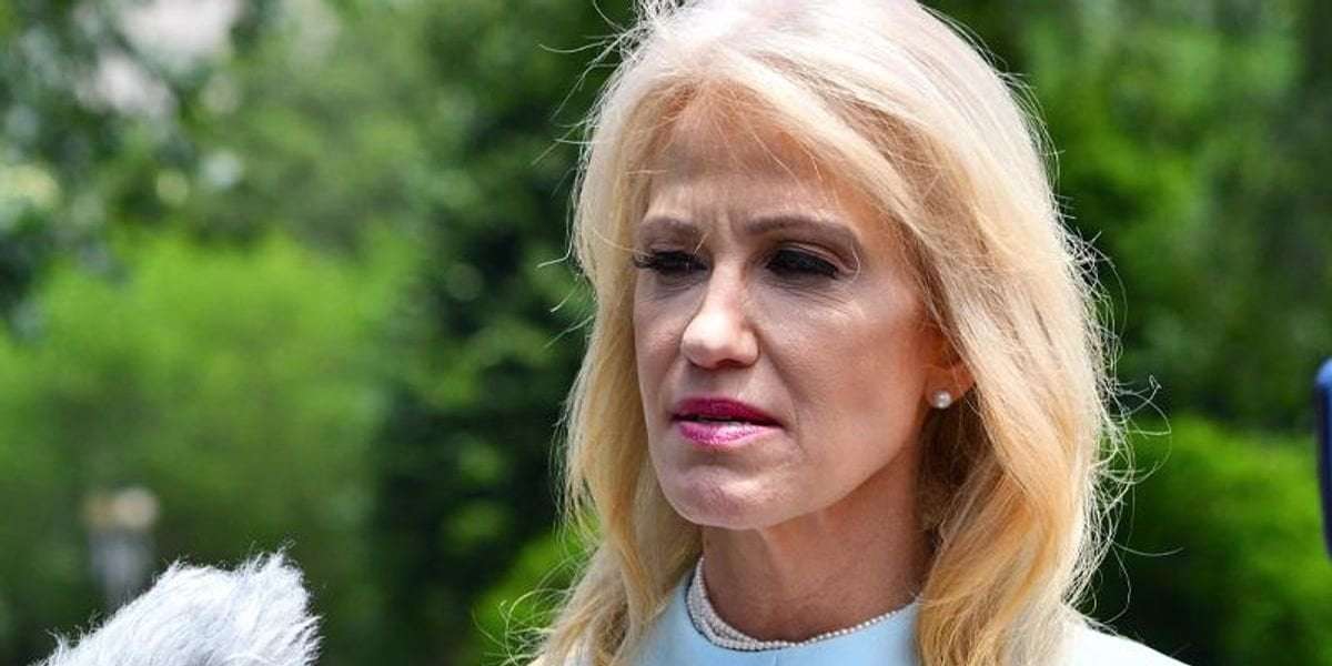image for 'Shameless' Kellyanne Conway is manipulating 'syphilitic' Trump to become VP: columnist