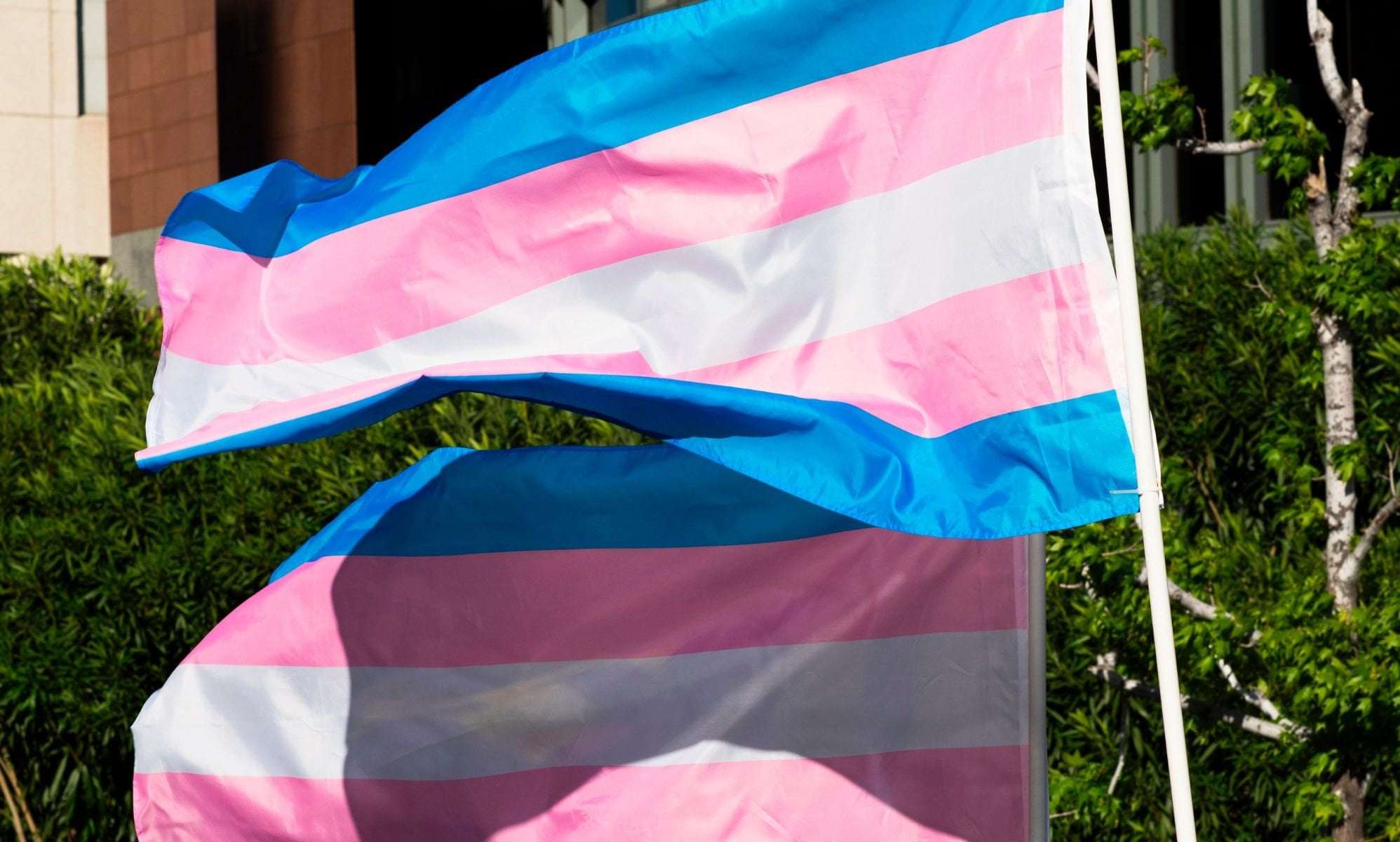 image for Virginia advocates celebrate as 11 anti-trans bills defeated in one week