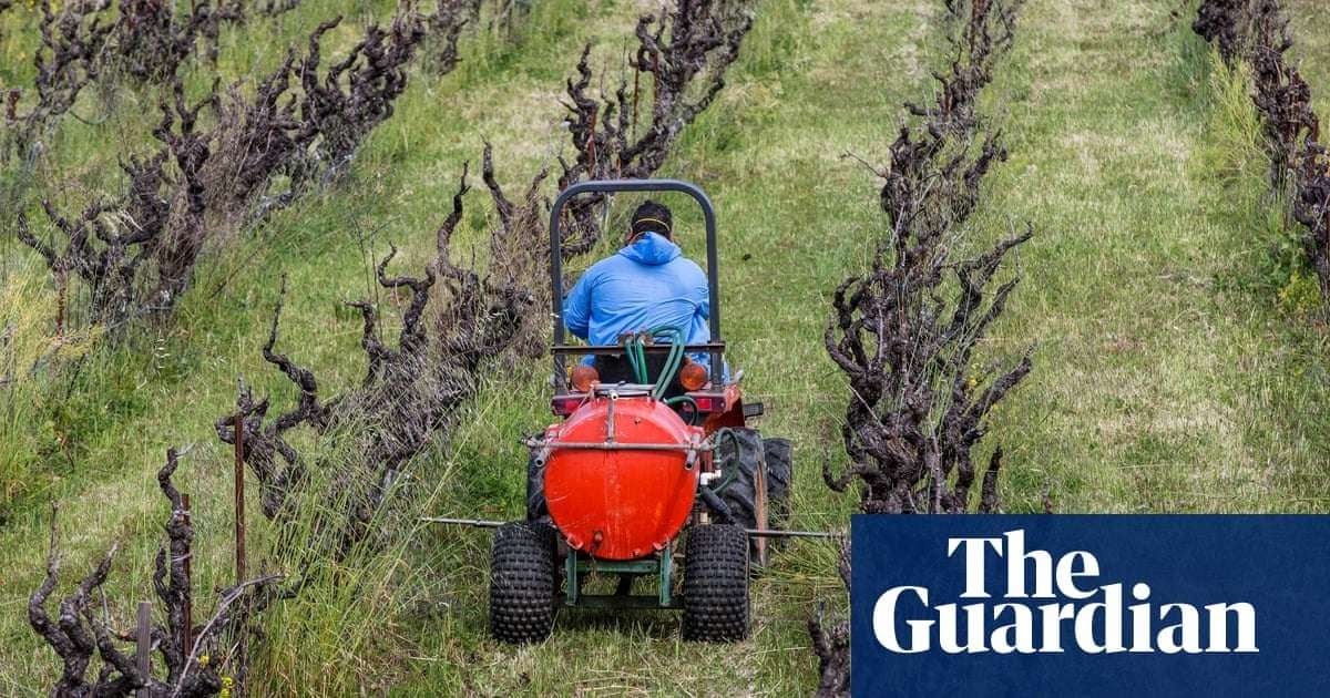 image for US court bans three weedkillers and finds EPA broke law in approval process