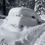 image for When people still think Arizona doesn’t get snow, I’m just going to show them this picture of my car