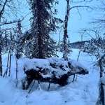 image for A moose in Alaska was found frozen in place last week. Average weekly temperature was -35°F