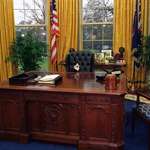 image for President Bill Clinton's cat "Socks" behind the presidential desk (1994)