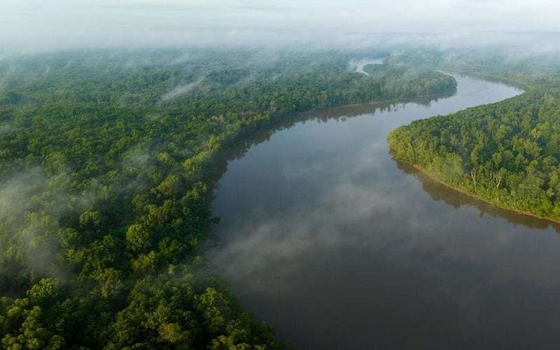 image for $15 million land purchase to protect 8,000 acres of America’s Amazon in south Alabama