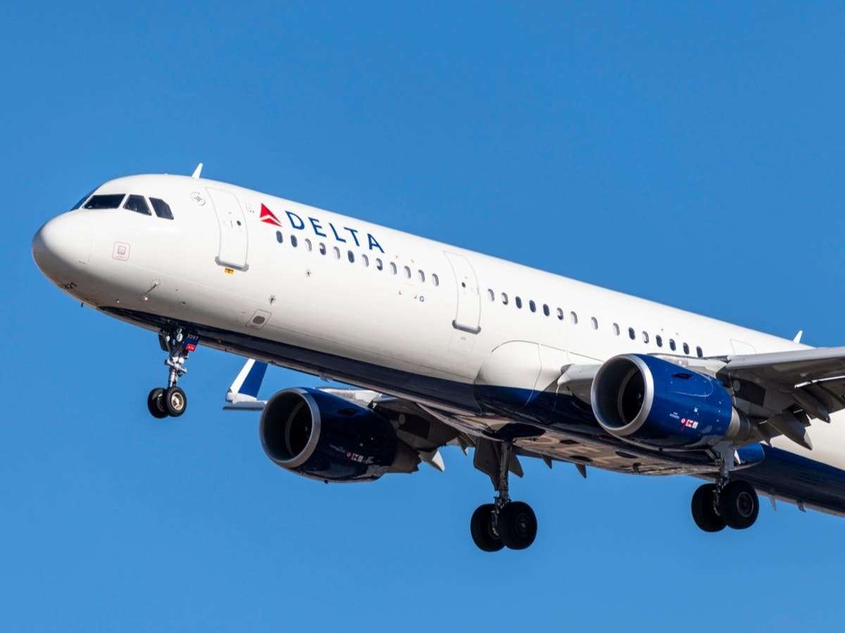 image for Delta flight forced to turn back after maggots fall on passengers