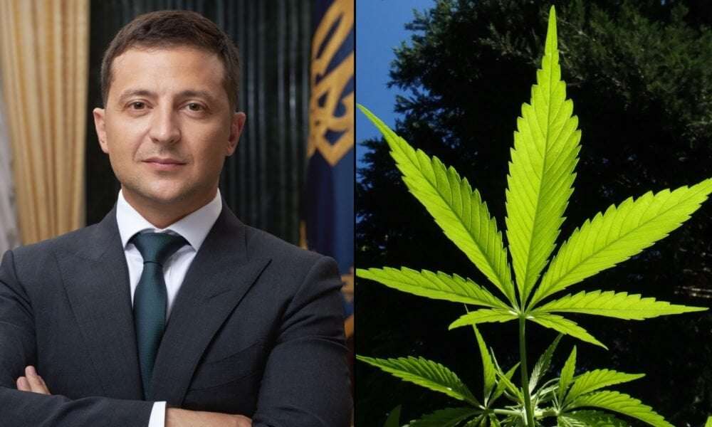 image for Ukraine’s Zelensky Signs Medical Marijuana Bill, A Step He Says Can Heal ‘Pain, Stress and Trauma Of War’ With Russia