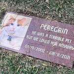 image for We miss you Peregrin, but not that much
