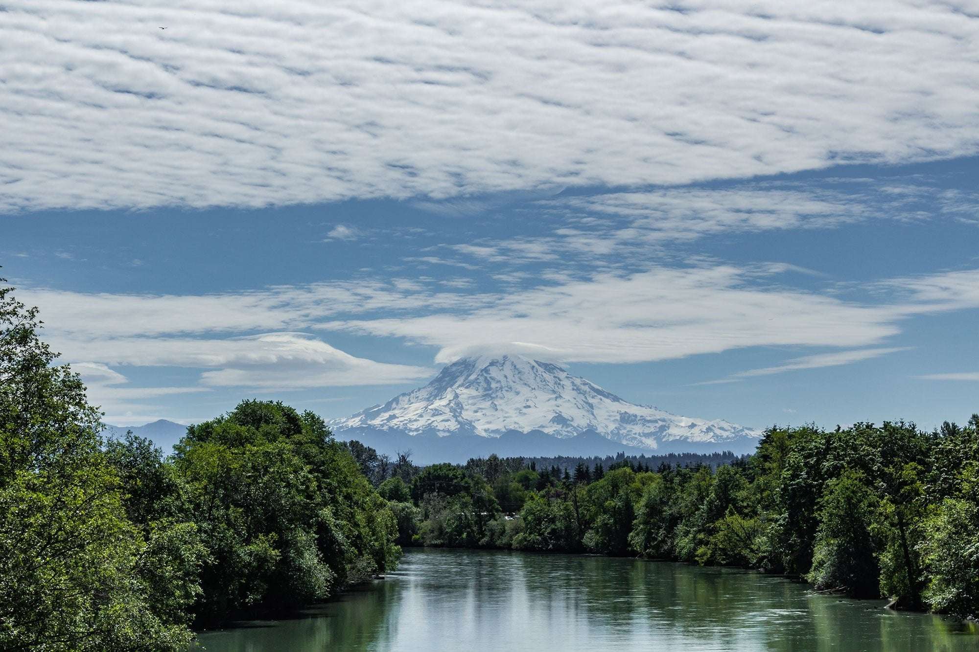 image for In a Win for Endangered Salmon, Court Orders Puyallup River Dam Removal