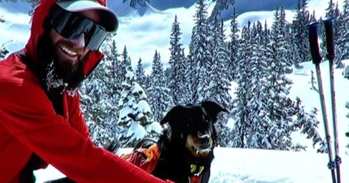image for Missing dog captured on trail camera 11 months after avalanche separated him from owner