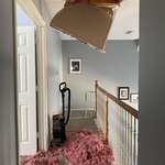 image for Went into the attic to look for a squirrel and fell through the ceiling