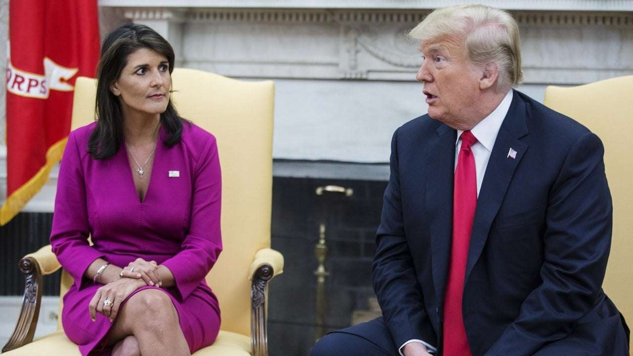 image for Nikki Haley: America Is Committing “Suicide” by Voting for Trump