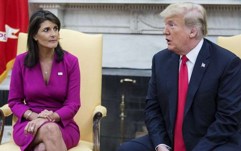 image for Nikki Haley: America Is Committing “Suicide” by Voting for Trump