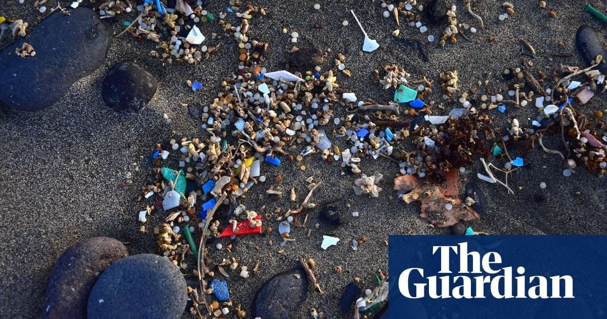 image for Microplastics found in every human placenta tested in study