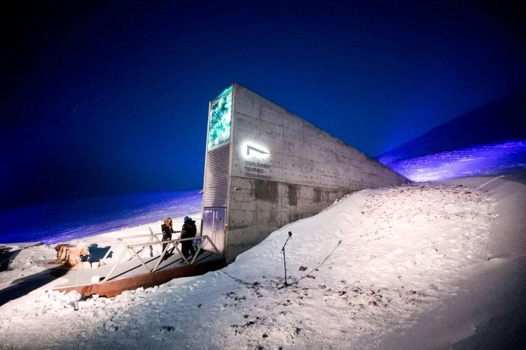 image for Arctic doomsday vault gets record batch of crop seeds