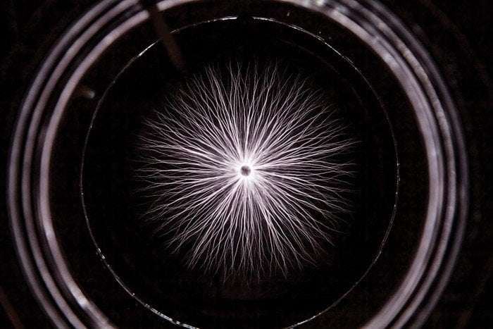 image for Competition to destroy ‘forever chemicals’ heats up