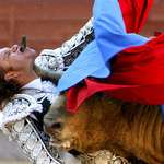 image for Bullfighter losing to bull
