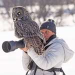 image for Wildlife photographers: careful whoot you wish for