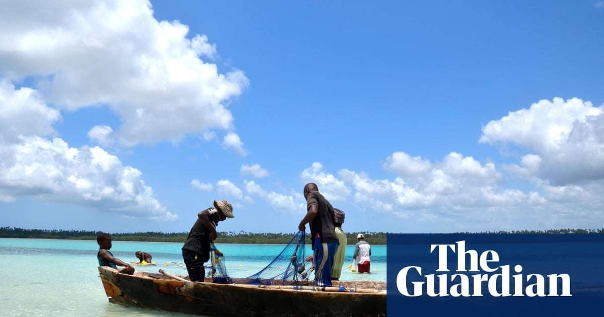 image for Eight children and an adult die in Zanzibar after eating sea turtle meat