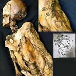 image for 1993 Discovery of the Ice Maiden in Russia's Altai Mountains: An Ancient Tattooed Princess Preserved