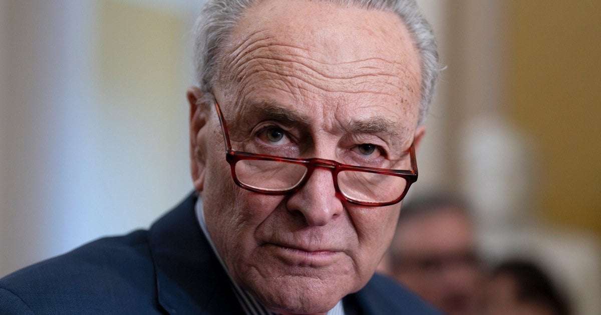 image for Chuck Schumer calls for new elections in Israel, criticizing Netanyahu's leadership