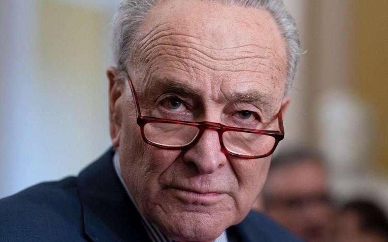 image for Chuck Schumer calls for new elections in Israel, criticizing Netanyahu's leadership