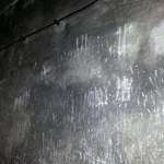 image for Taken from inside a gas chamber at Auschwitz (disturbing warning)