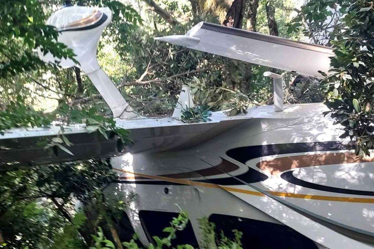 image for 2-Year-Old Girl and Parents Use Parachute to Survive Plane Crash with 'Minor Cuts and Scratches'