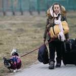 image for Ukrainian refugee with her dog and two cats crosses the border into Poland