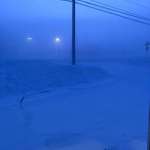 image for Alone in the morning ice fog, sub -40 in Alaska.