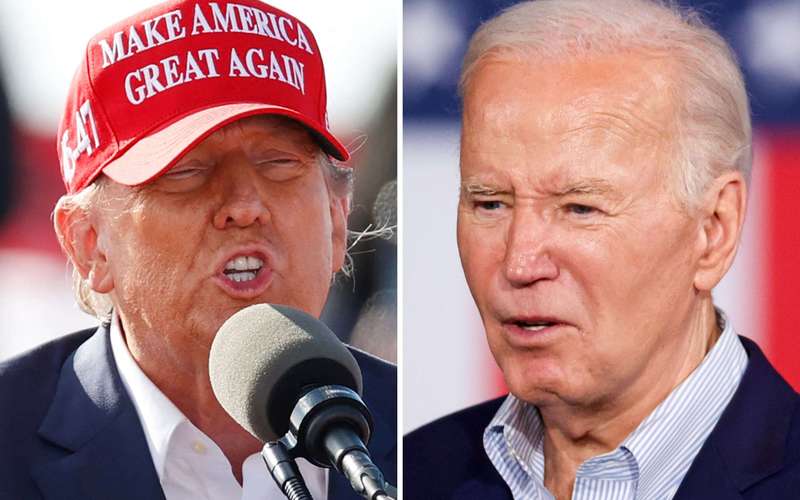 image for Joe Biden Leads Donald Trump in Eight Polls