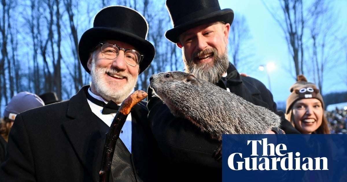 image for Punxsutawney Phil and partner Phyllis welcome two baby groundhogs