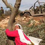image for Farmer hugging the last olive grove in her field it gets bulldozed