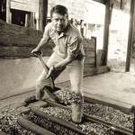 image for Jimmy Carter tends to his peanuts.