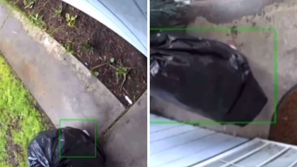 image for Watch: Thief Disguises As Garbage Bag To Steal Package Off A Porch
