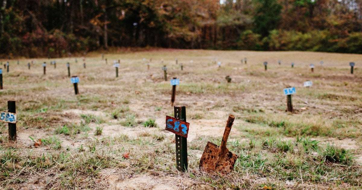 image for DOJ takes action after Mississippi coroner buried men without families’ knowledge