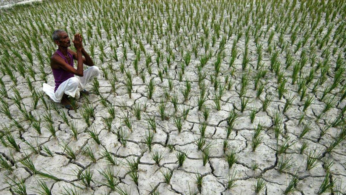 image for Right against climate change a distinct fundamental and human right, SC judgment