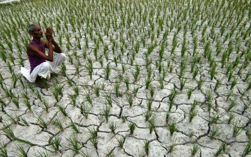 image for Right against climate change a distinct fundamental and human right, SC judgment