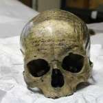 image for The skull of the father of modern philosophy René Descartes