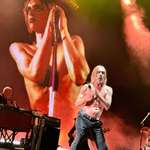 image for Iggy Pop ~ then and now