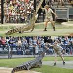 image for Robert Irwin feeding the same croc, in the same place as his father, Steve Irwin, 15 years later