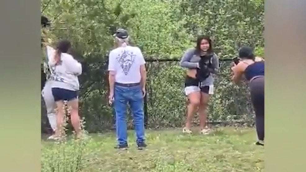image for No charges after video shows people handling bear cubs, wildlife officers say