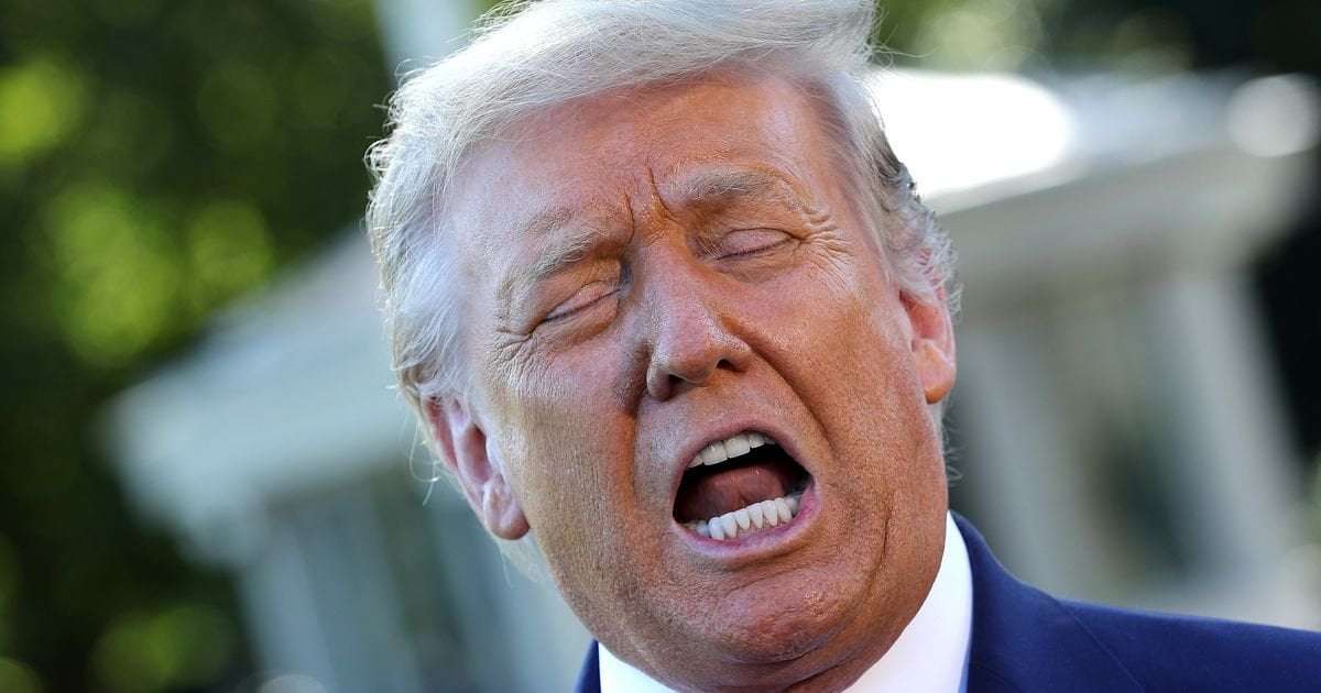 image for 'How Embarrassing': Trump Mocked For 'Pretending To Be President' In Strange Ceremony