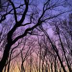image for My favorite unfiltered sunset photo I’ve taken :)